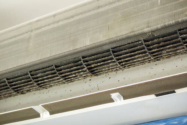 Best Duct Cleaning Specialists  in Franklin, TN
